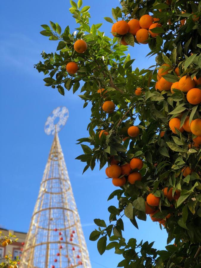 Picasso City Center 1A Μάλαγα Εξωτερικό φωτογραφία